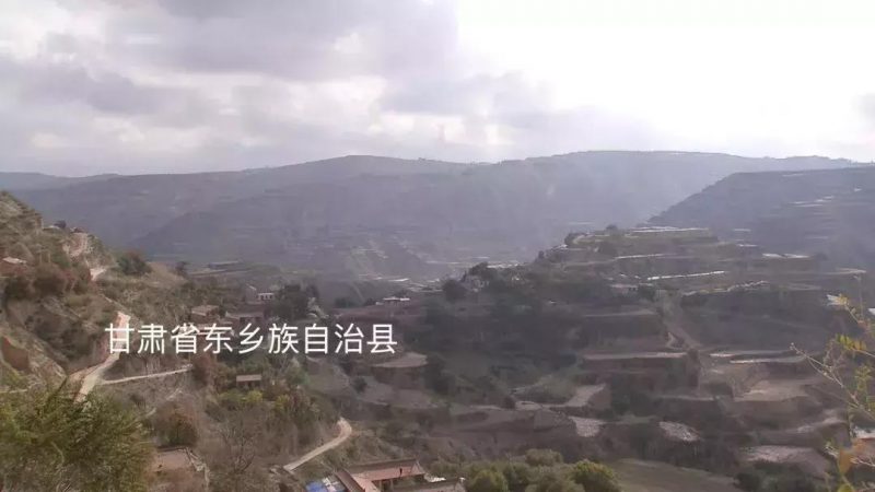 90后女硕士，在国家级贫困县，一年卖出700万元销售额