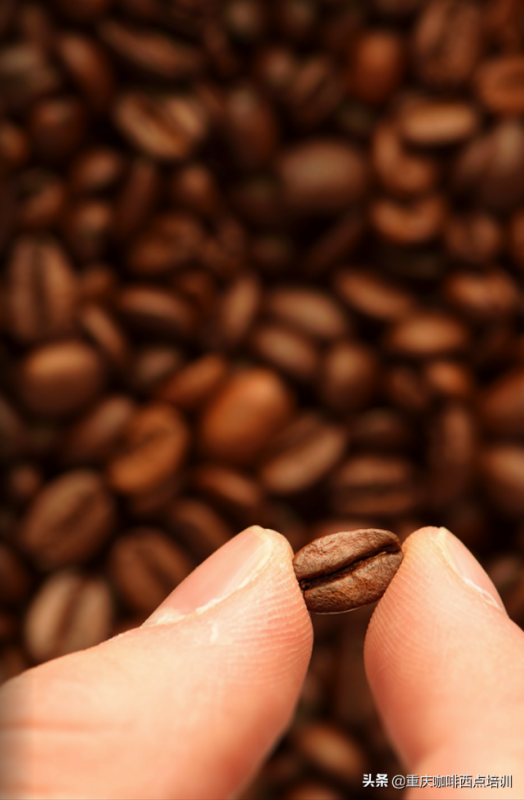 烘培的咖啡豆怎么喝（咖啡豆注意事项）-资料巴巴网