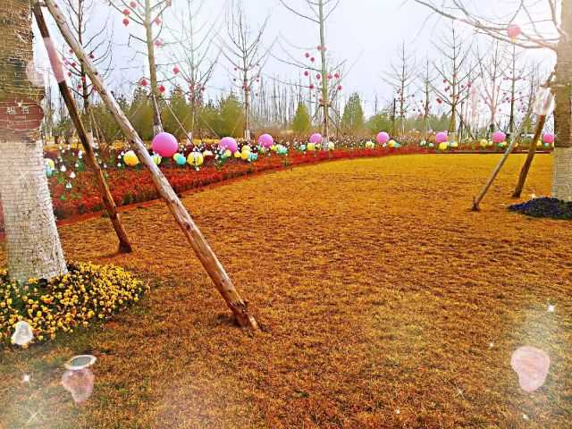 结婚周年都是什么婚?结婚周年 - 第10张 - 资料巴巴网 结婚周年都是什么婚?结婚周年 - 第10张