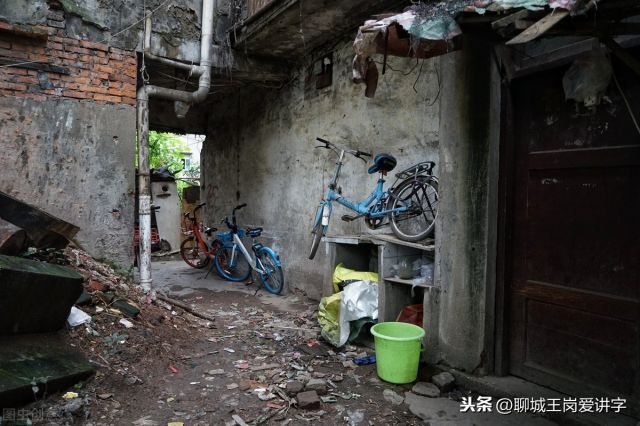 甴曱是什么意思?曱甴这两个字念什么 - 第6张 - 资料巴巴网 甴曱是什么意思?曱甴这两个字念什么 - 第6张
