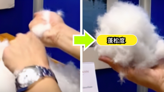 罗宾汉羽绒服怎么看真假?分辨是不是羽绒服 - 第2张 - 资料巴巴网 罗宾汉羽绒服怎么看真假?分辨是不是羽绒服 - 第2张