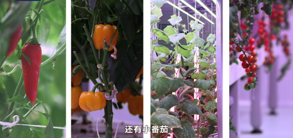 航天员有127种食品(航天员需要哪些营养物质)-1