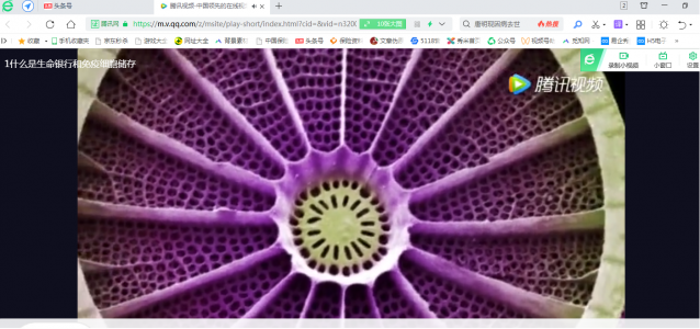 怎么保存网页视频?保存网页视频-1