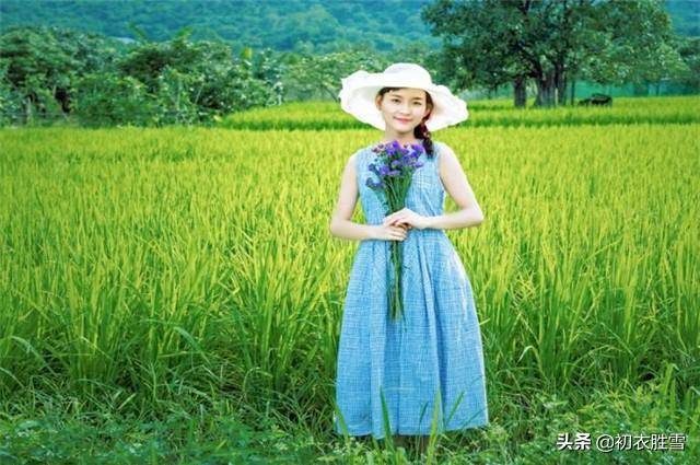 十里稻花香的上一句是什么？一畦春韭绿十里稻花香的出处-1