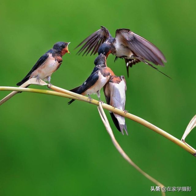 什么是曝光过度?相机过度曝光-1