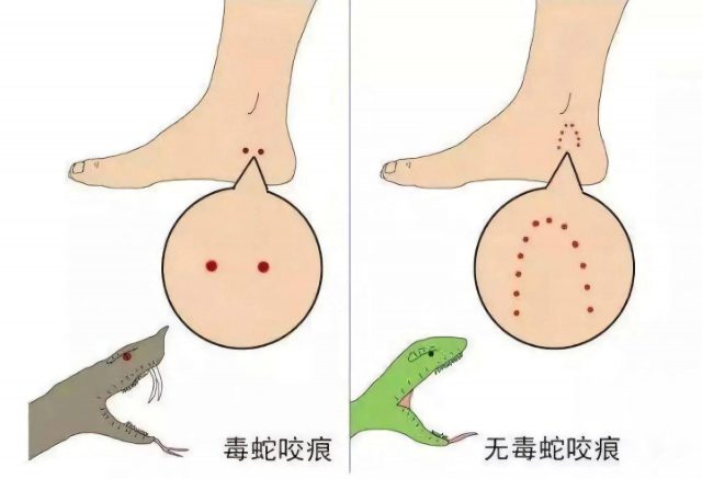 七寸是多少厘米?7寸照片实物参照图-1