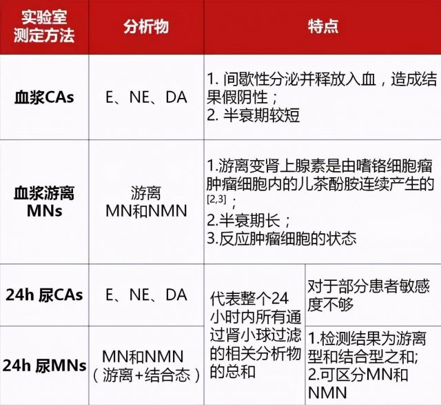 茶酚胺类物质包括哪些?茶酚胺对人体的作用-1