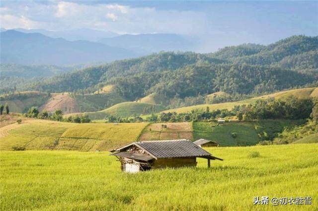 十里稻花香的上一句是什么？一畦春韭绿十里稻花香的出处-1
