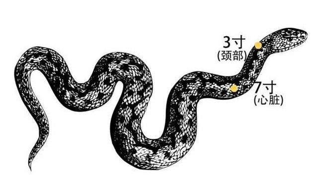 七寸是多少厘米?7寸照片实物参照图-1