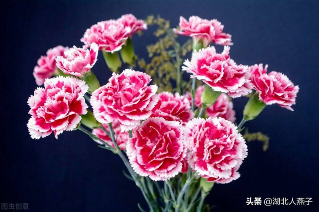 母亲节买什么礼物好？母亲节的礼物-1