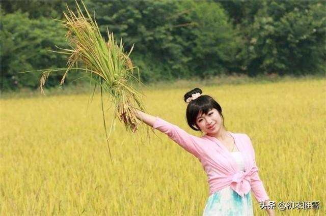 十里稻花香的上一句是什么？一畦春韭绿十里稻花香的出处-1