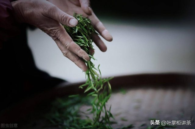 金骏眉属于什么茶？金骏眉茶-1