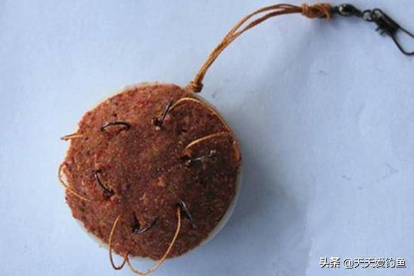 如何钓草鱼（秋季如何钓草鱼）-1