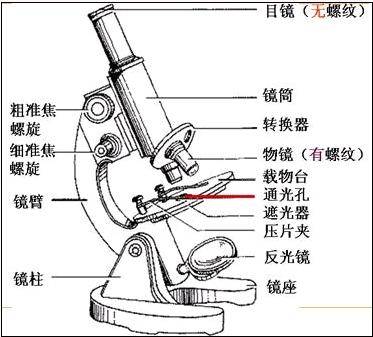 显微镜的使用方法步骤简易(低倍显微镜使用方法)-资料巴巴网